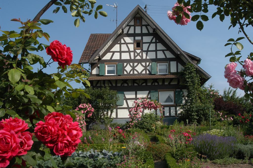 Pflugwirts Hotel Und Gasthaus أوبركيرش المظهر الخارجي الصورة